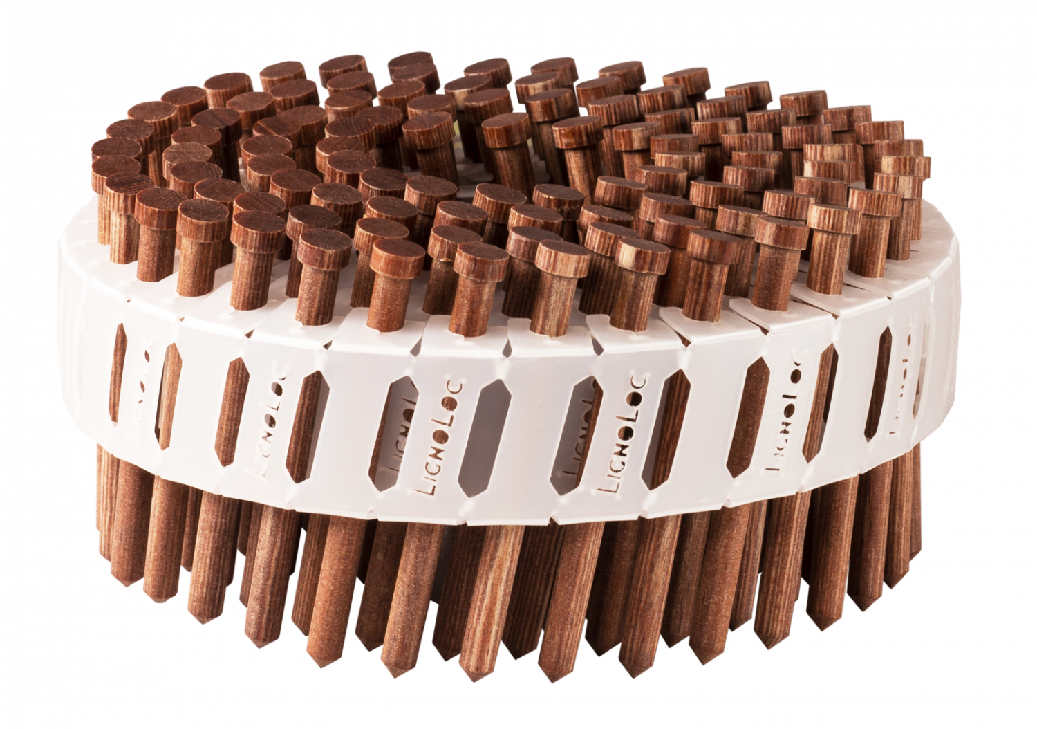 LignoLoc® Holznägel 4,7x58mm glatt mit Kopf 1.000 Stück